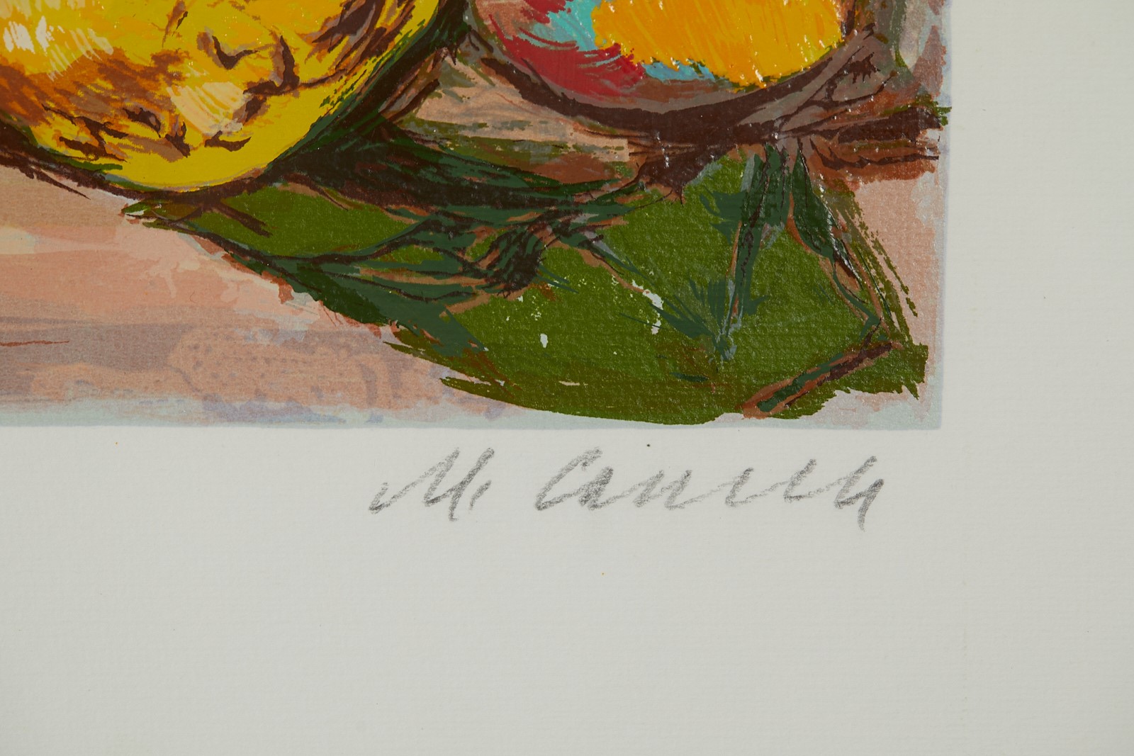 "Natura morta a Cortina".