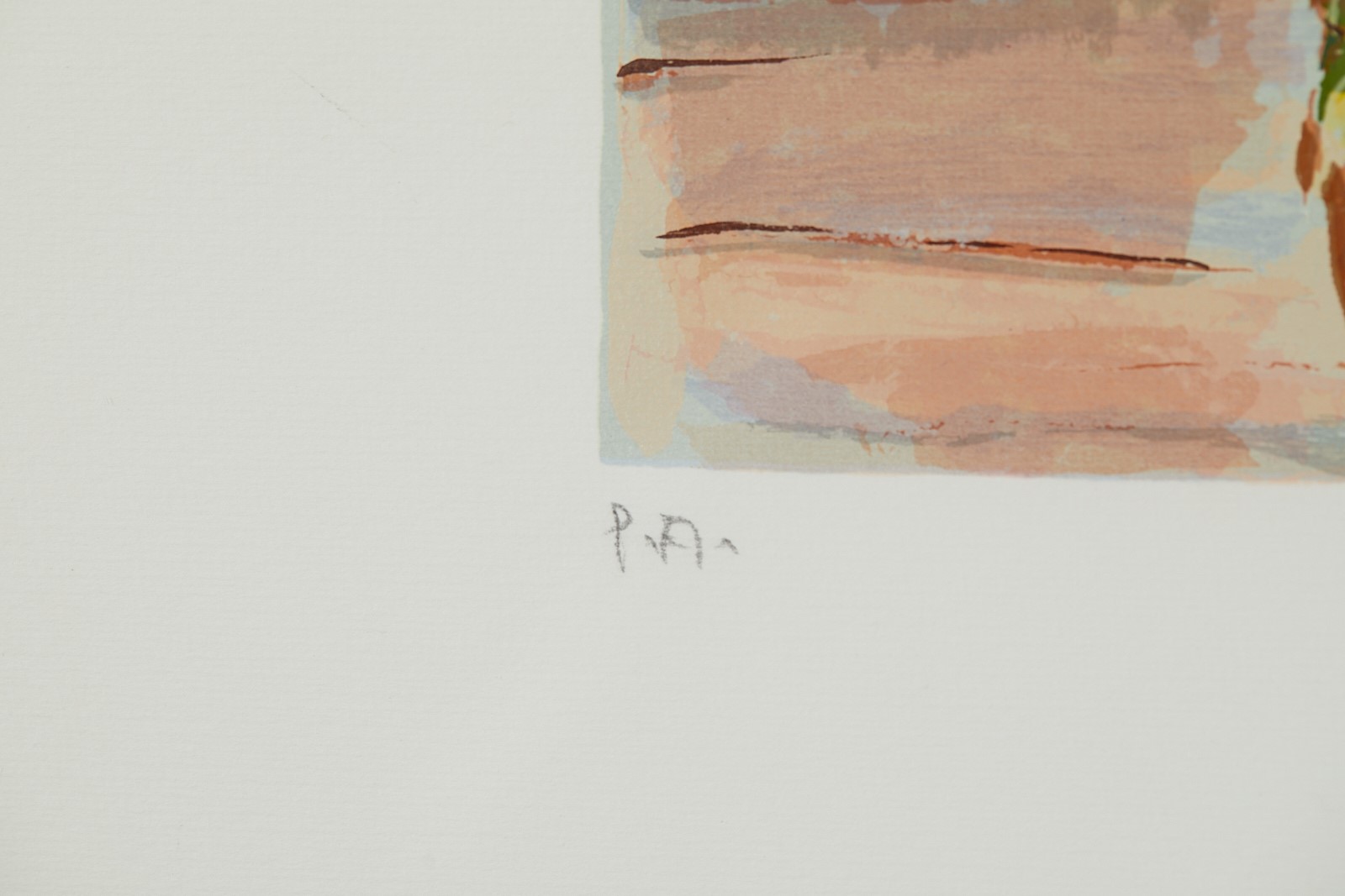 "Natura morta a Cortina".