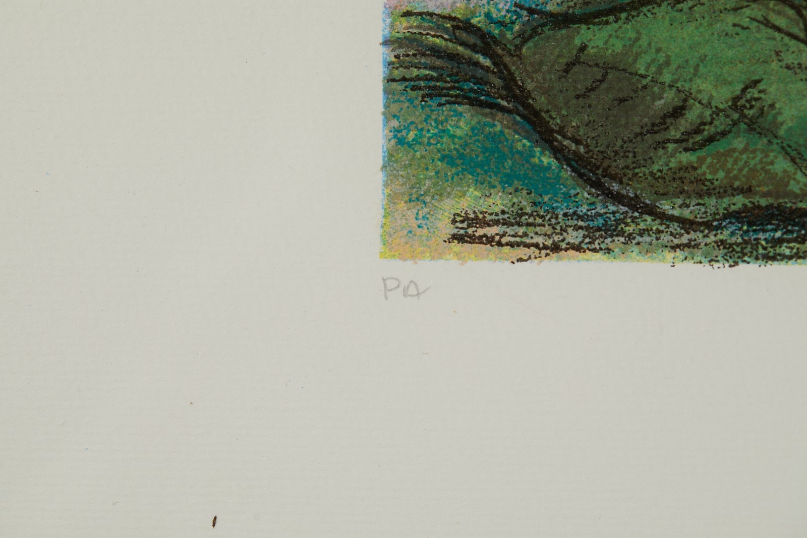 "Natura morta a Portofino"