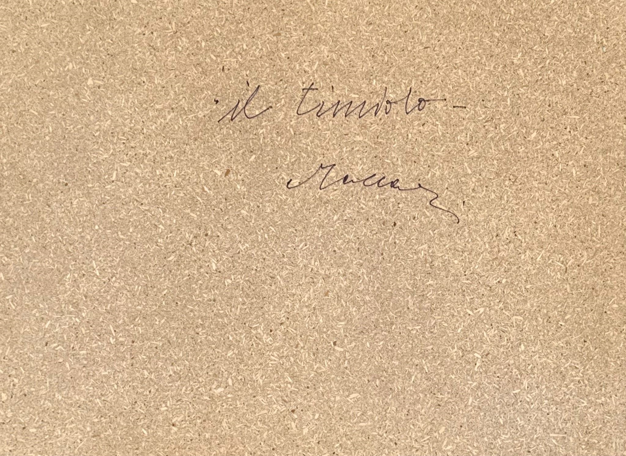 "Il timido"