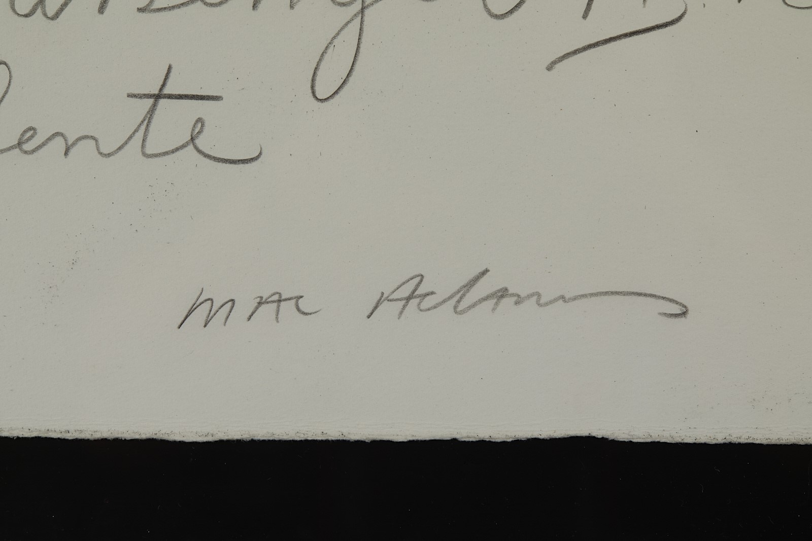 "Study for the passenger II"