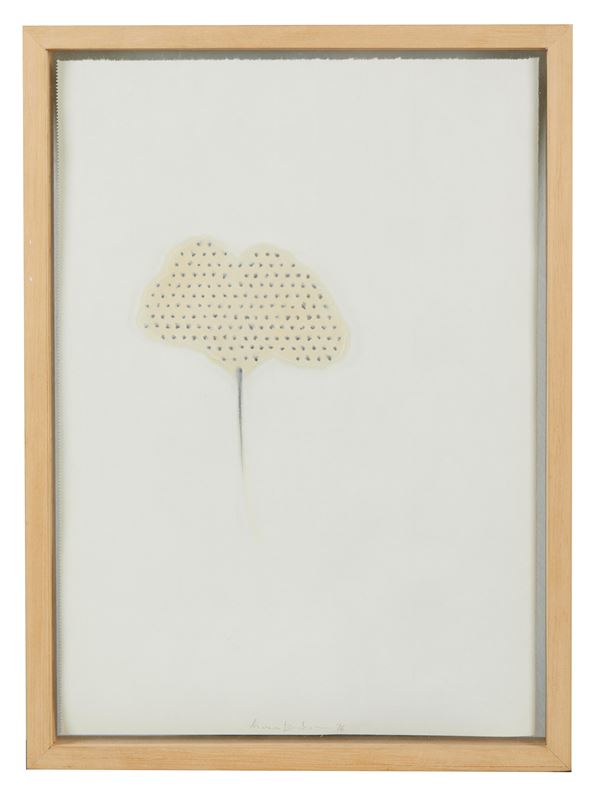 Pinuccia Bernardoni - ST