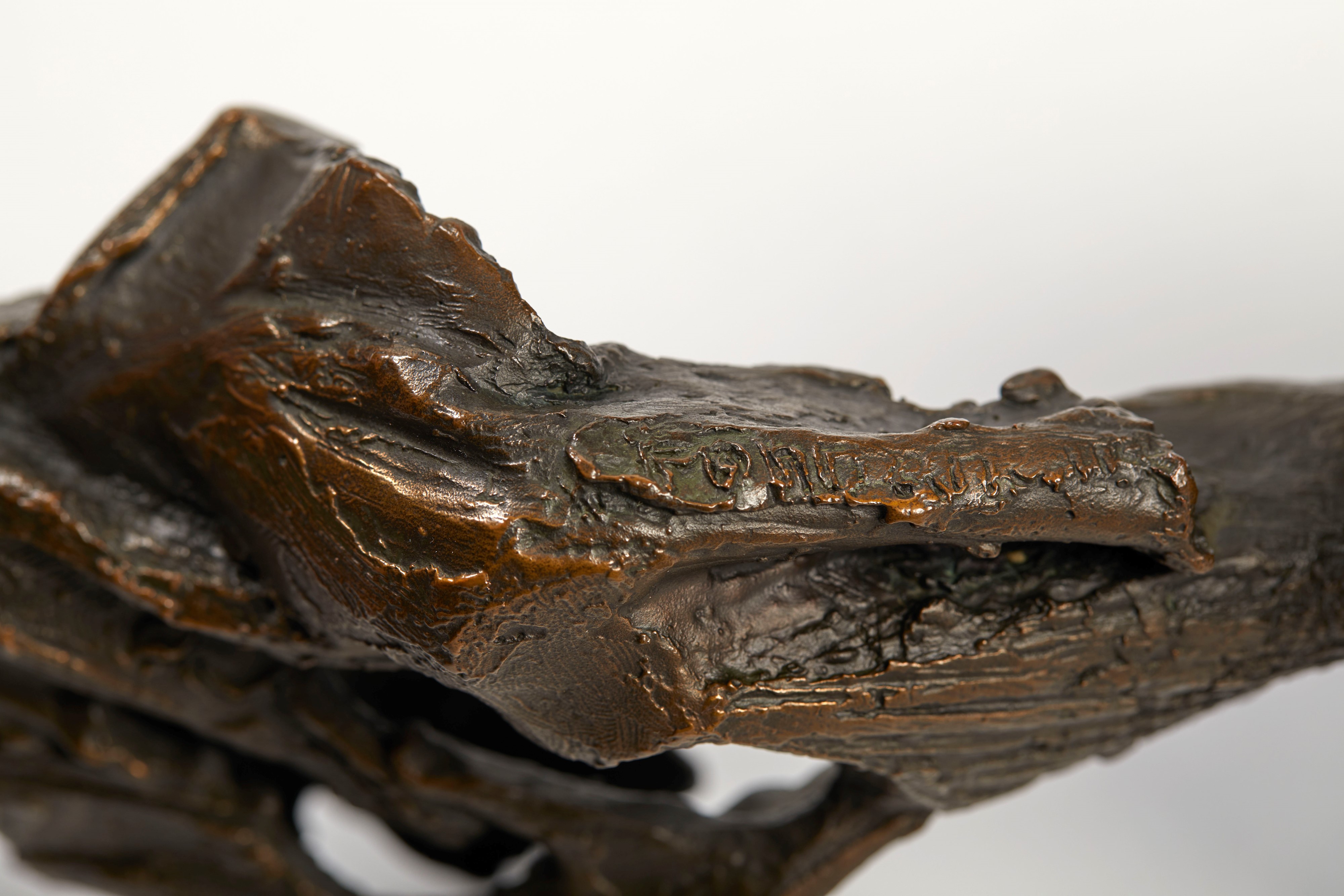 “Busto di donna”.