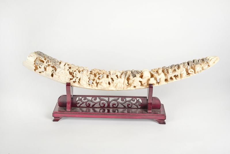 Zanna intera in avorio di elefante