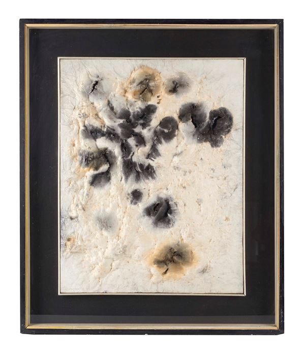 Frans Krajcberg - "Superficie lunare"