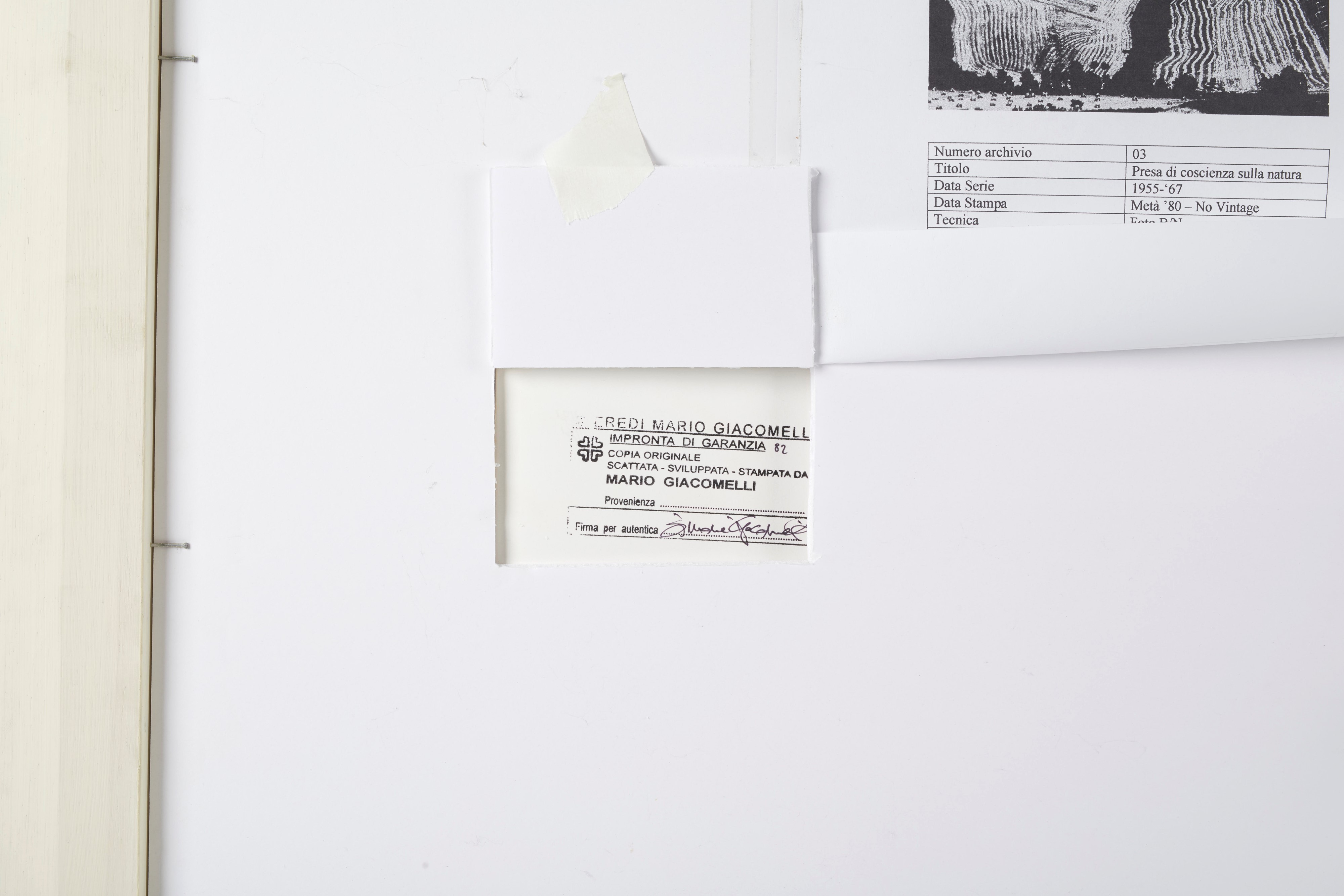 "Presa di coscienza sulla natura"