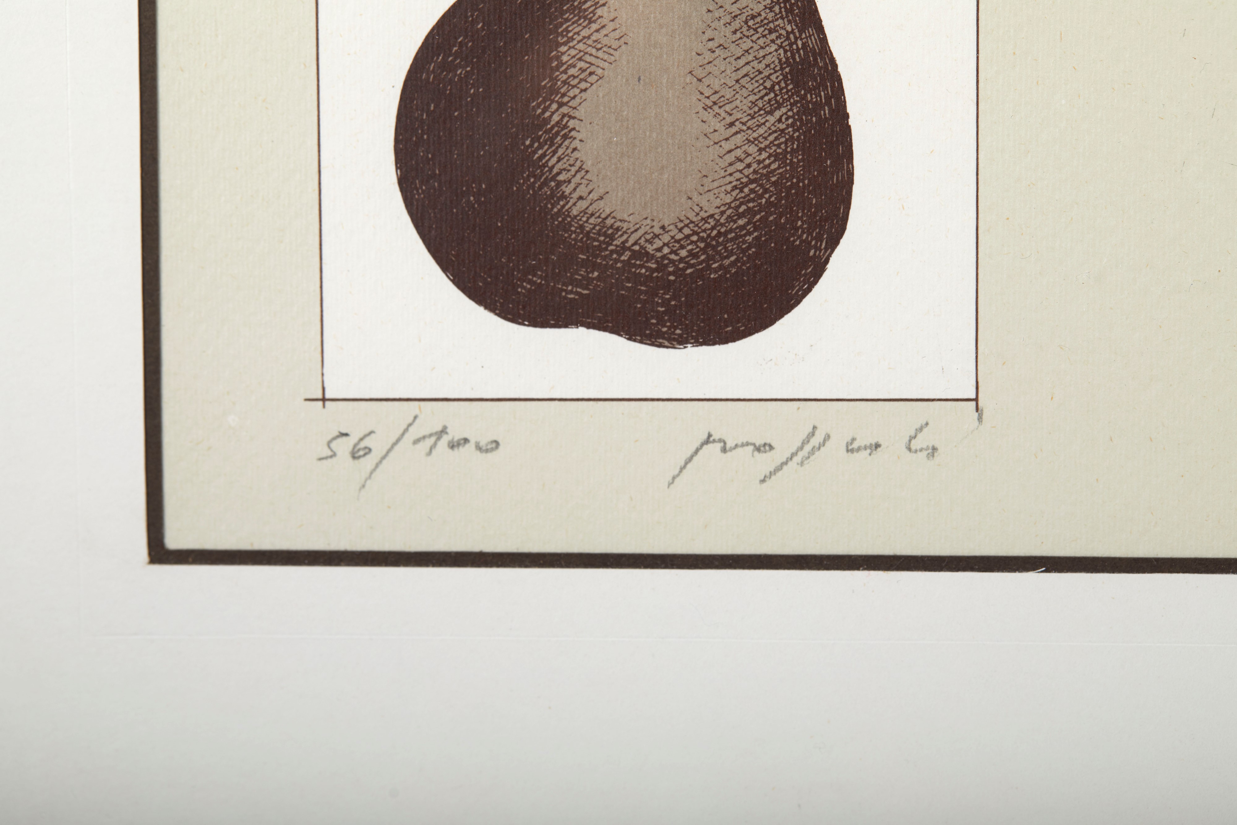 “Brucia la mano che non può tagliare”