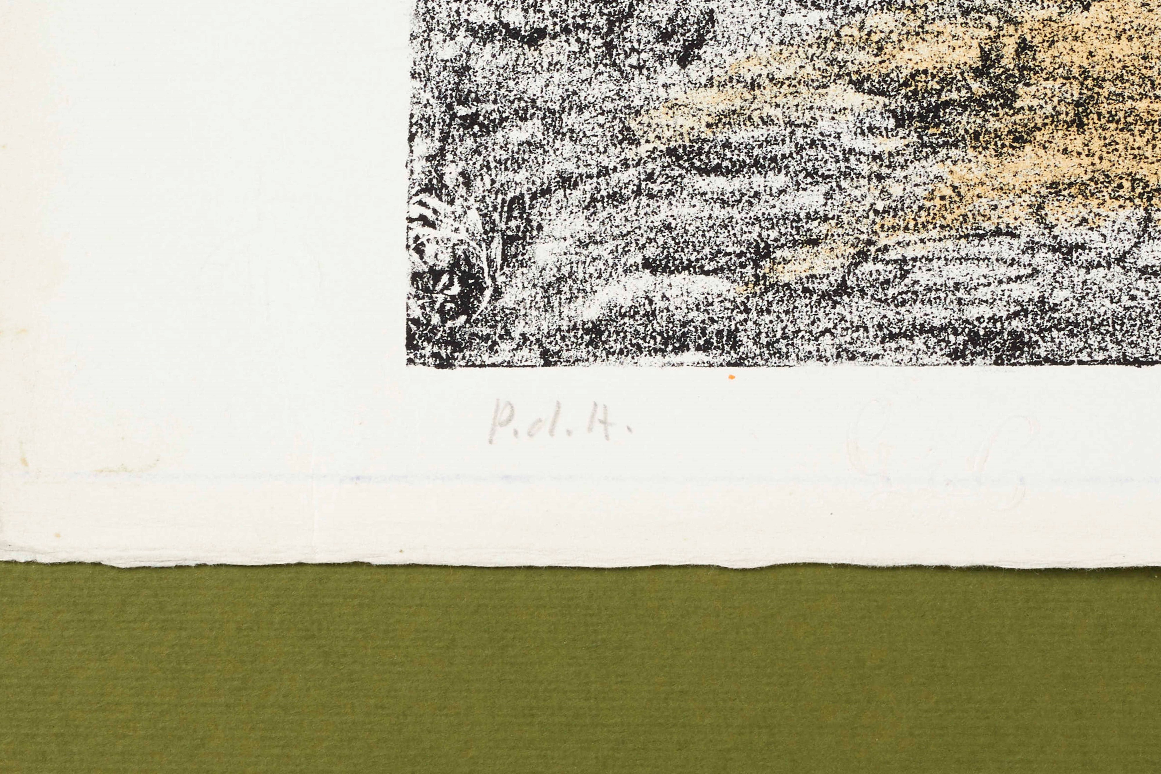 “Il fiume misterioso”