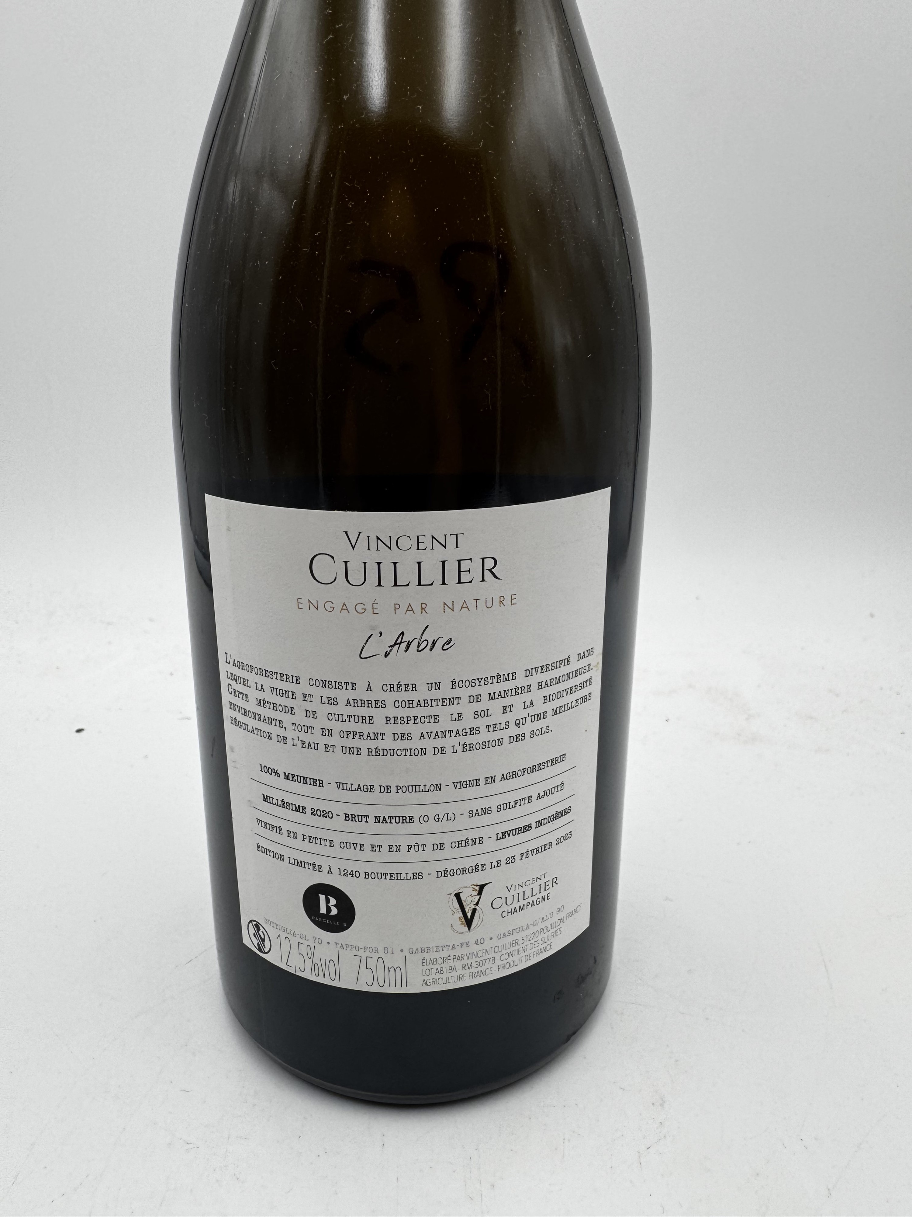 Vincent Cuillier L'Arbre 2020