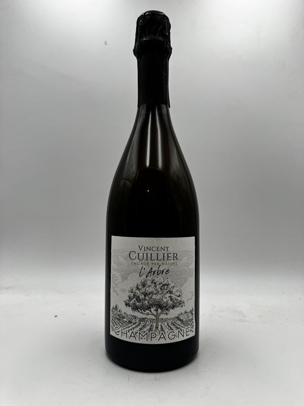 Vincent Cuillier L'Arbre 2019