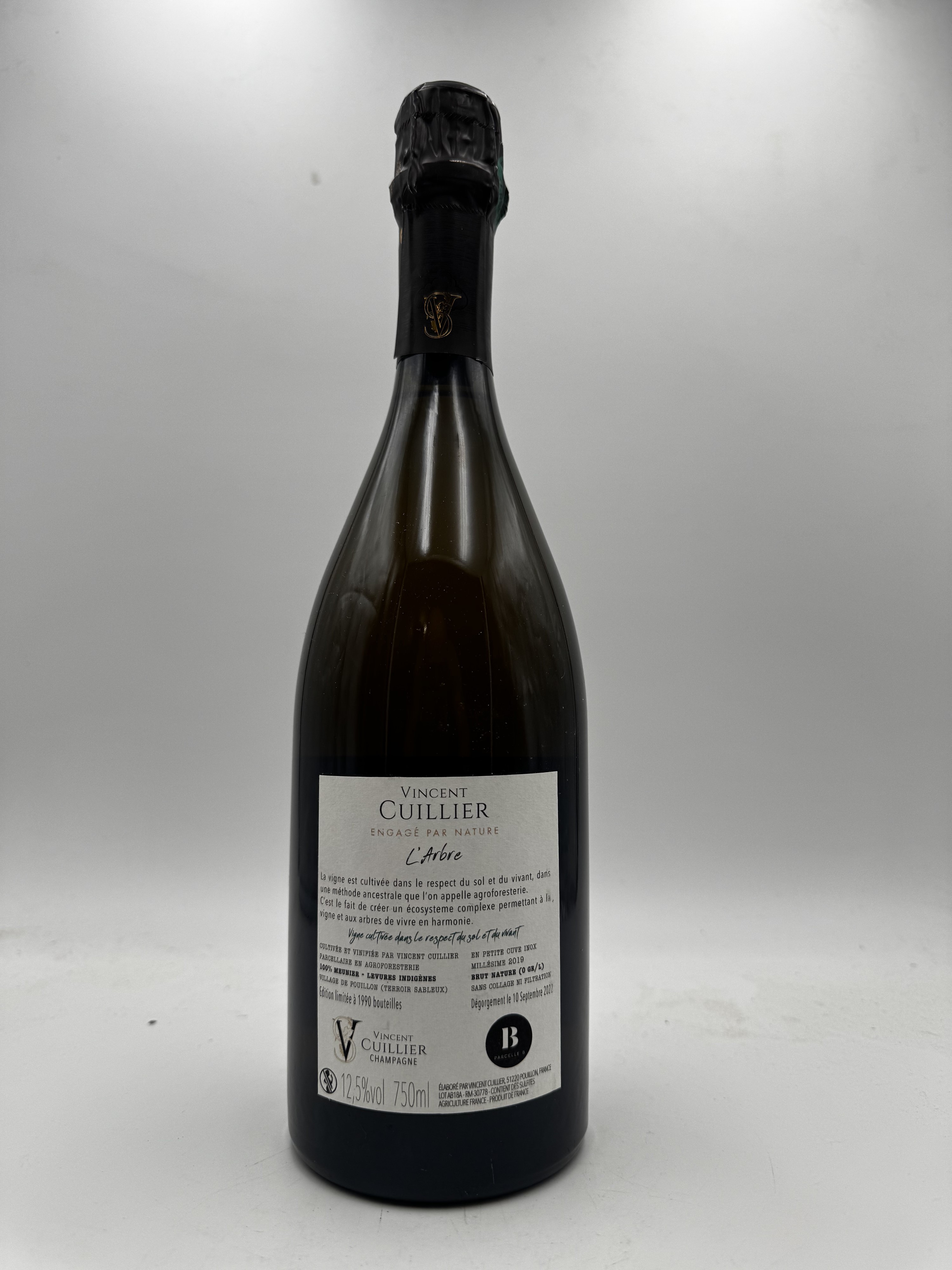 Vincent Cuillier L'Arbre 2019