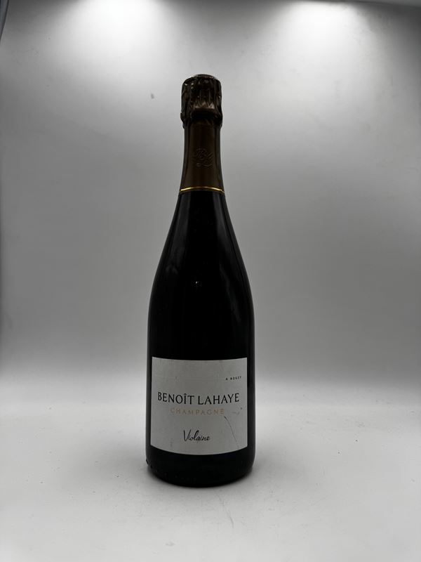 Benoit Lahaye Violaine 2017