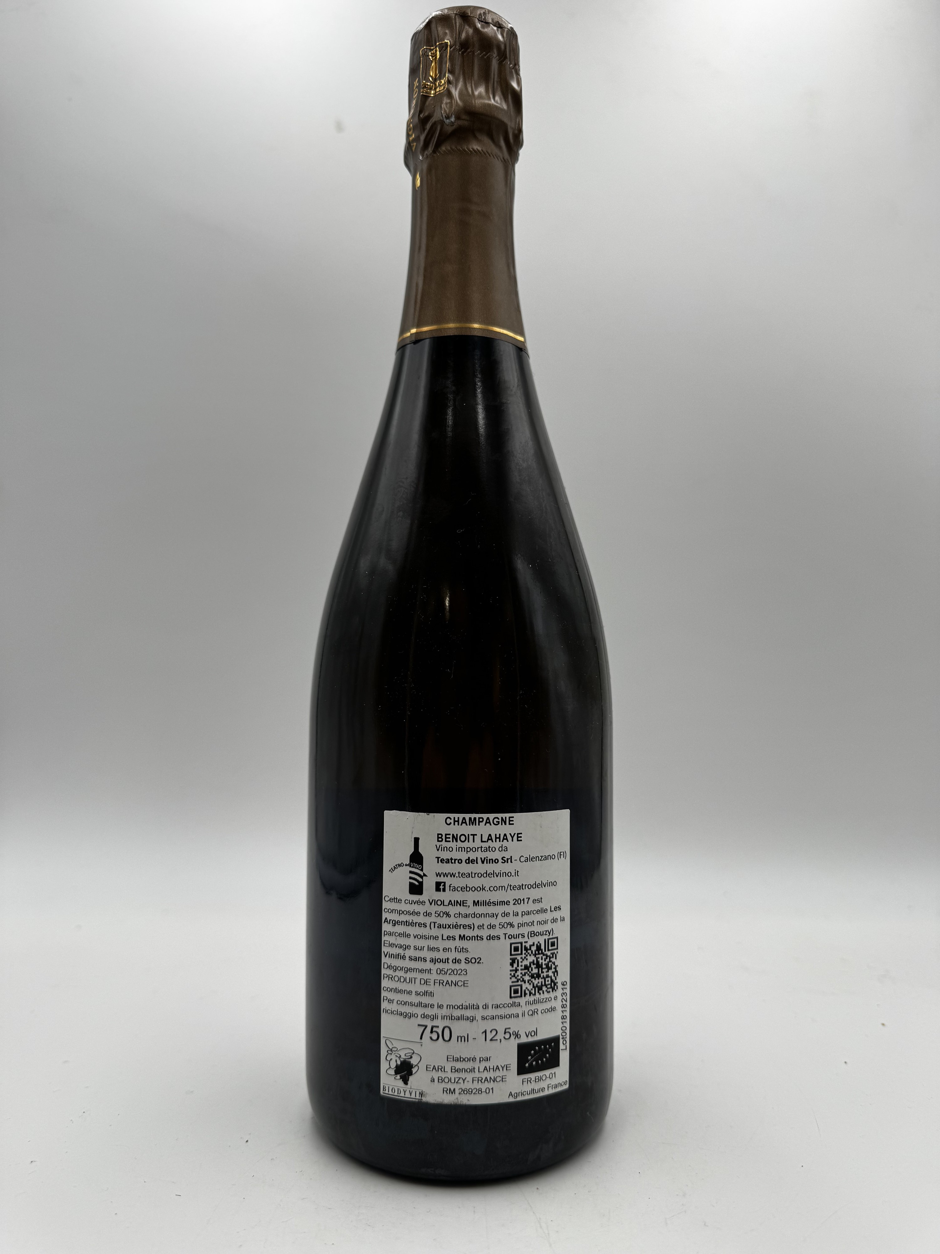Benoit Lahaye Violaine 2017