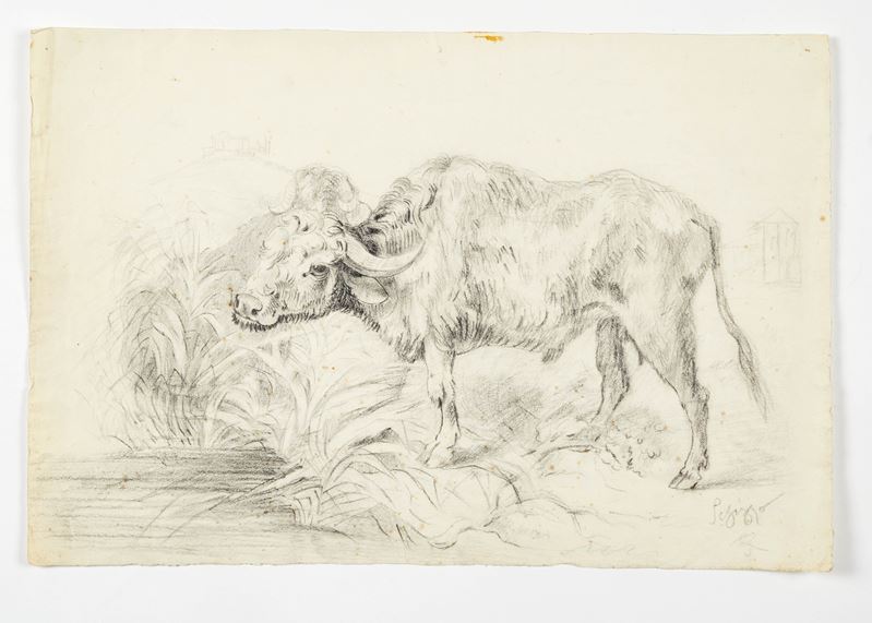 "Bufalo al pascolo"  - Matita su carta - Asta Antiquariato, Dipinti Antichi e Arti Decorative con una Selezione di Arti d'Oriente e d'Africa - Fidelis Auctions