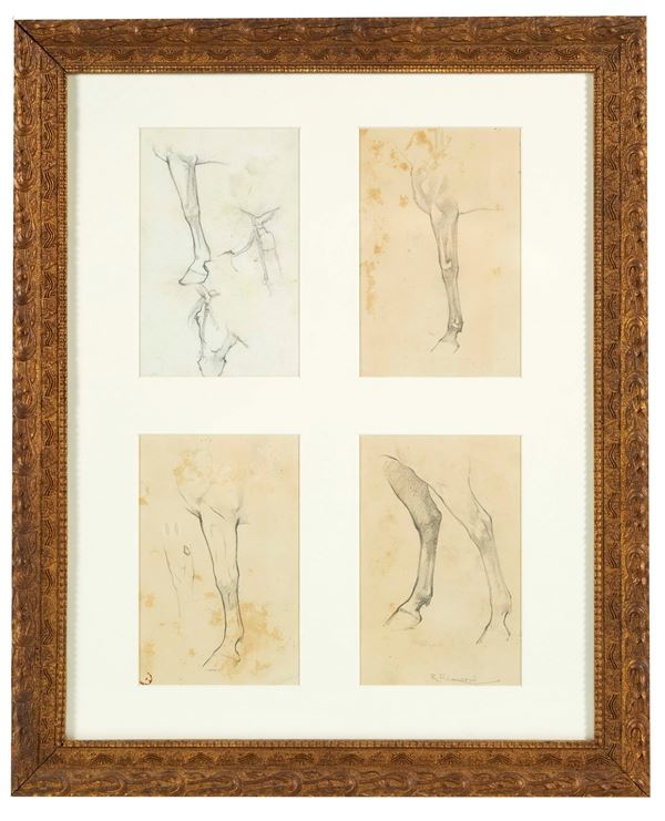 Roberto Franzoni - "Studio di cavallo"