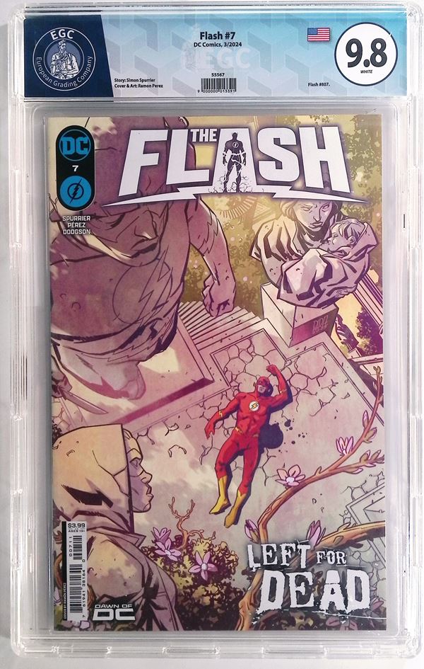 Flash #7
