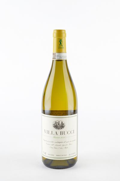 Limited Edition Riserva 2020 Docg Castelli di Jesi Verdicchio Classico Bio Villa Bucci