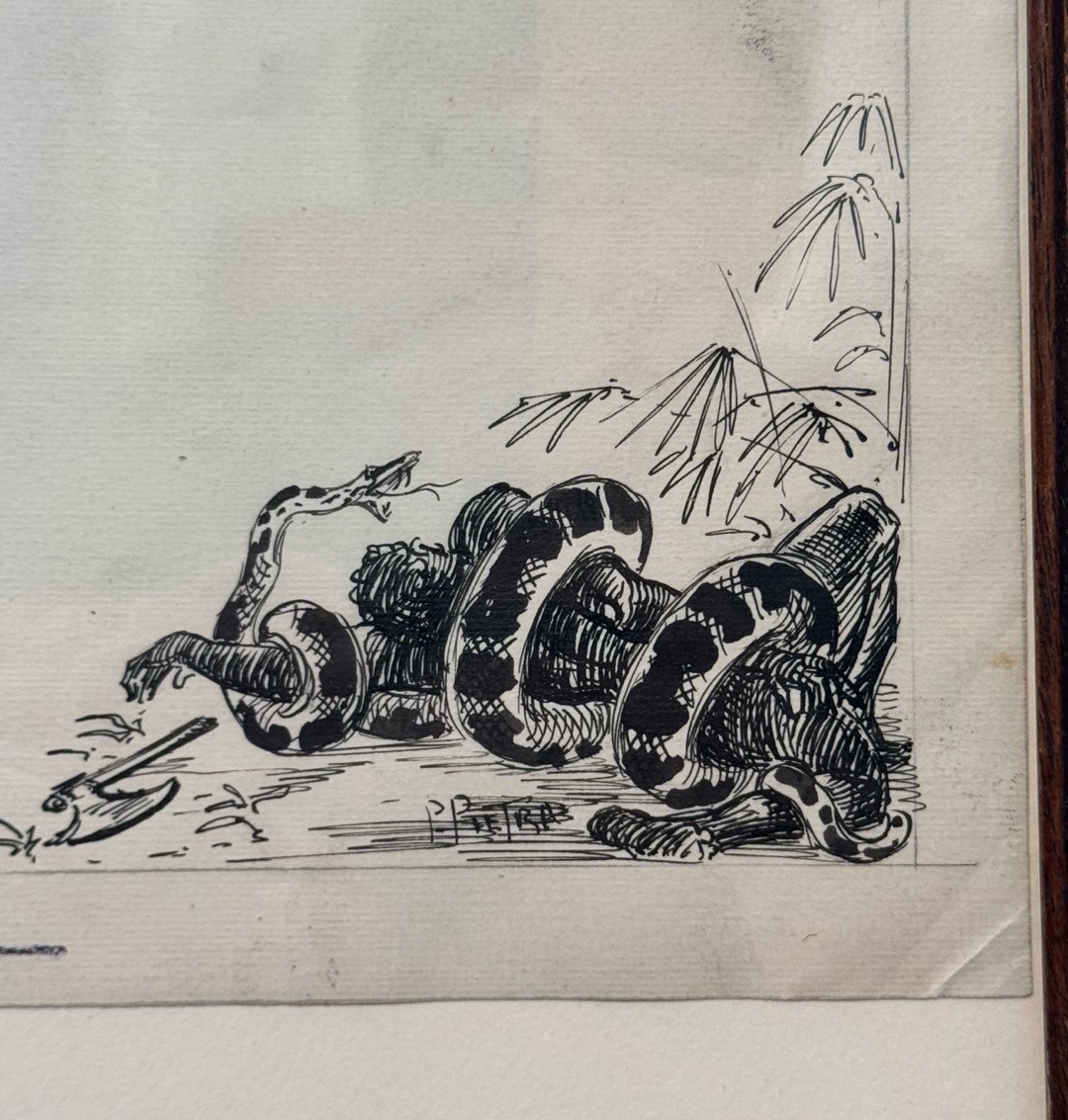 Pietro Pietra - Avventure di caccia grossa
