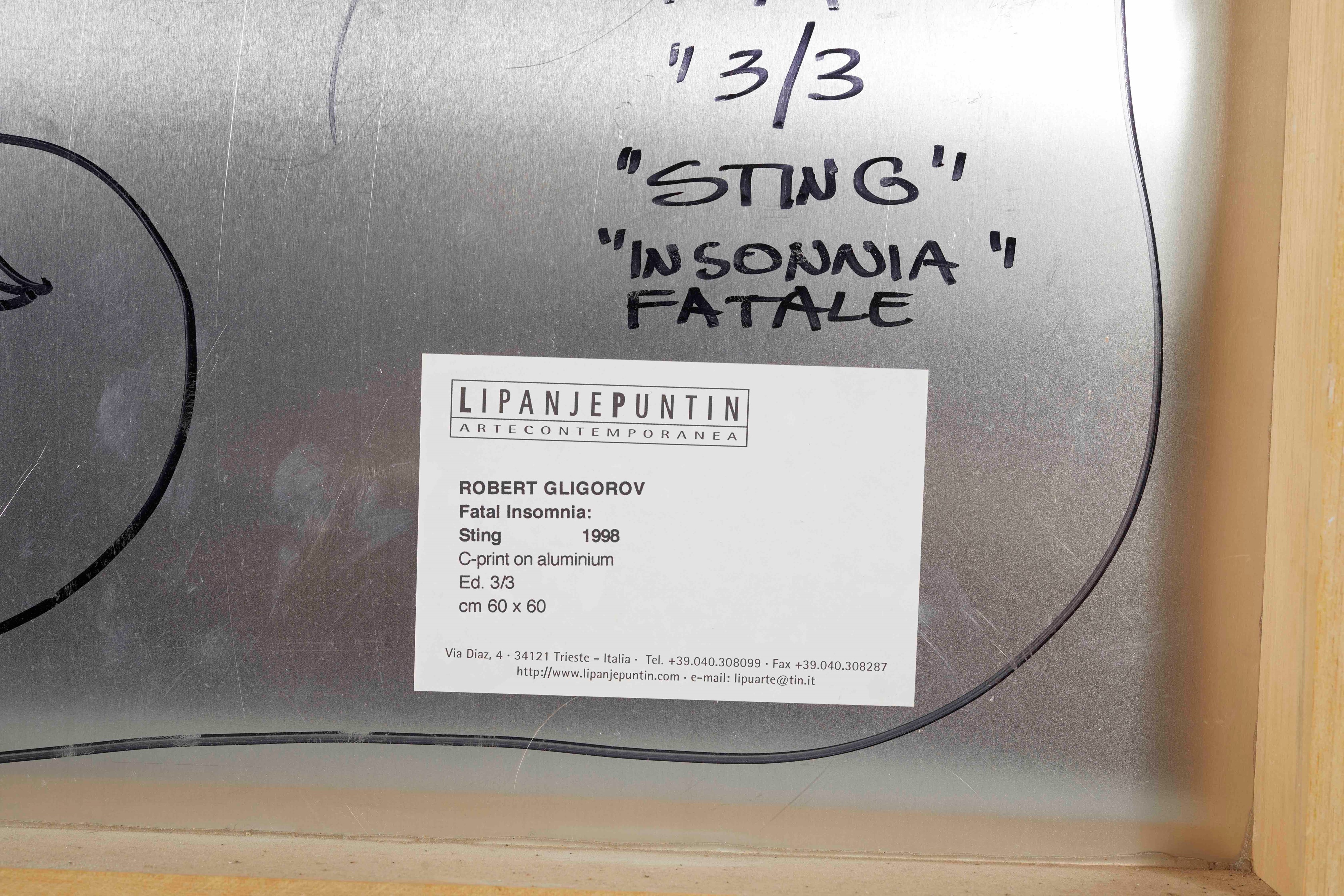 Robert Gligorov - Fatal insomnia: Sting, C-print su alluminio