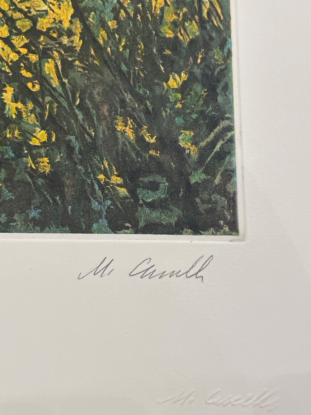 Michele Cascella - Campo di fiori