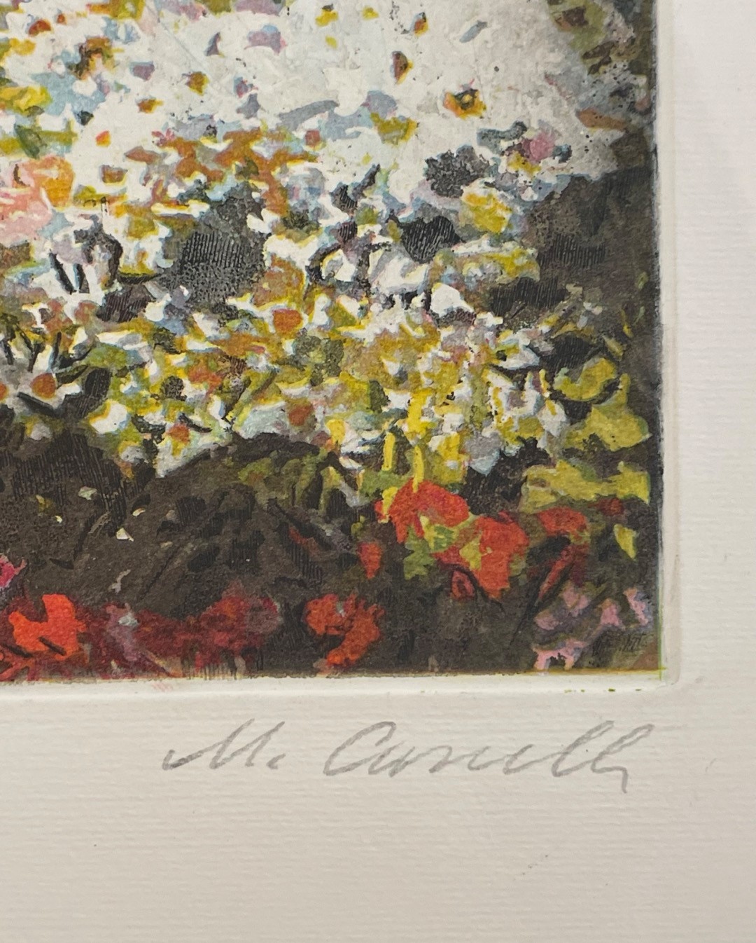 Michele Cascella - Scogliera