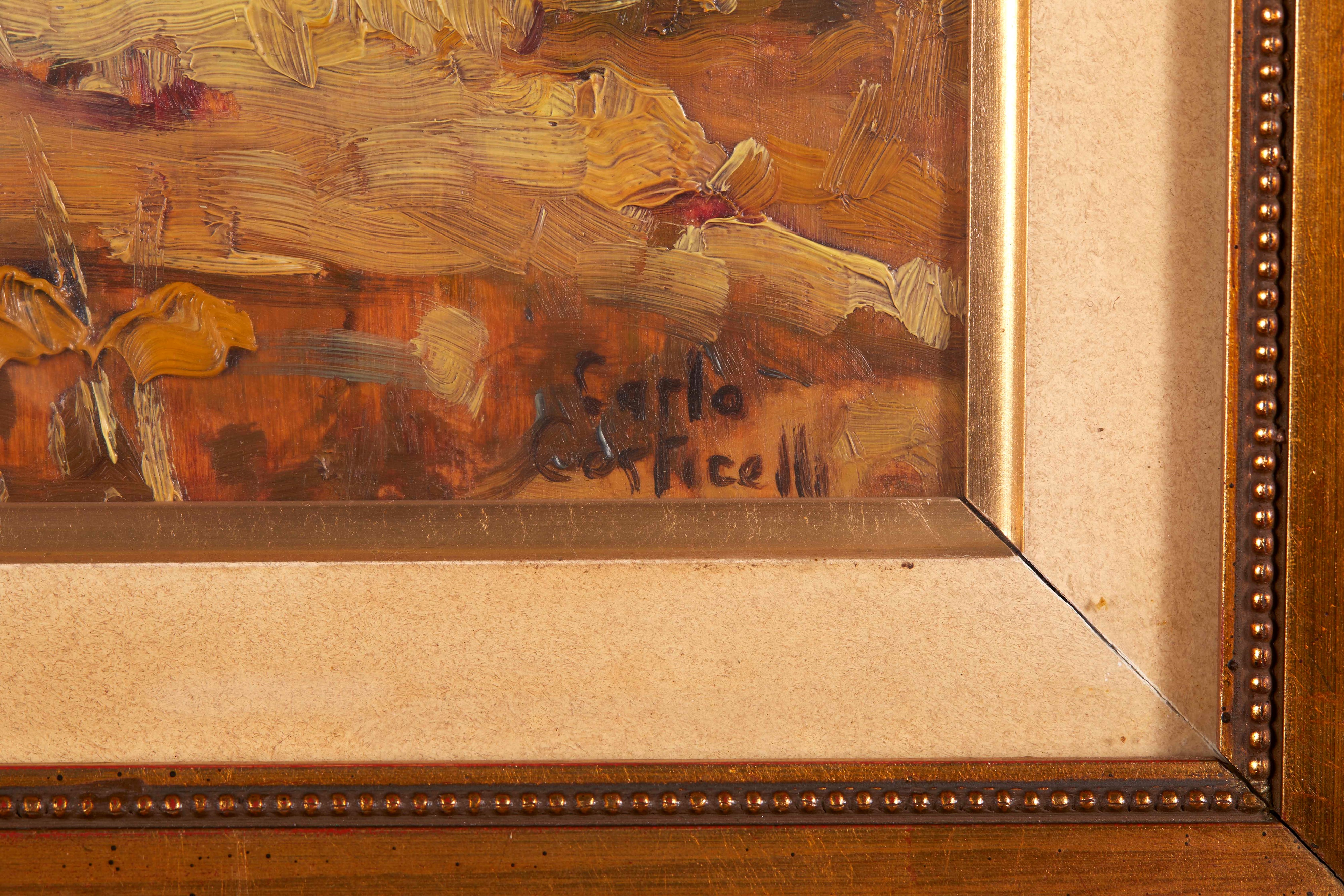 “Spiagge grossetane”