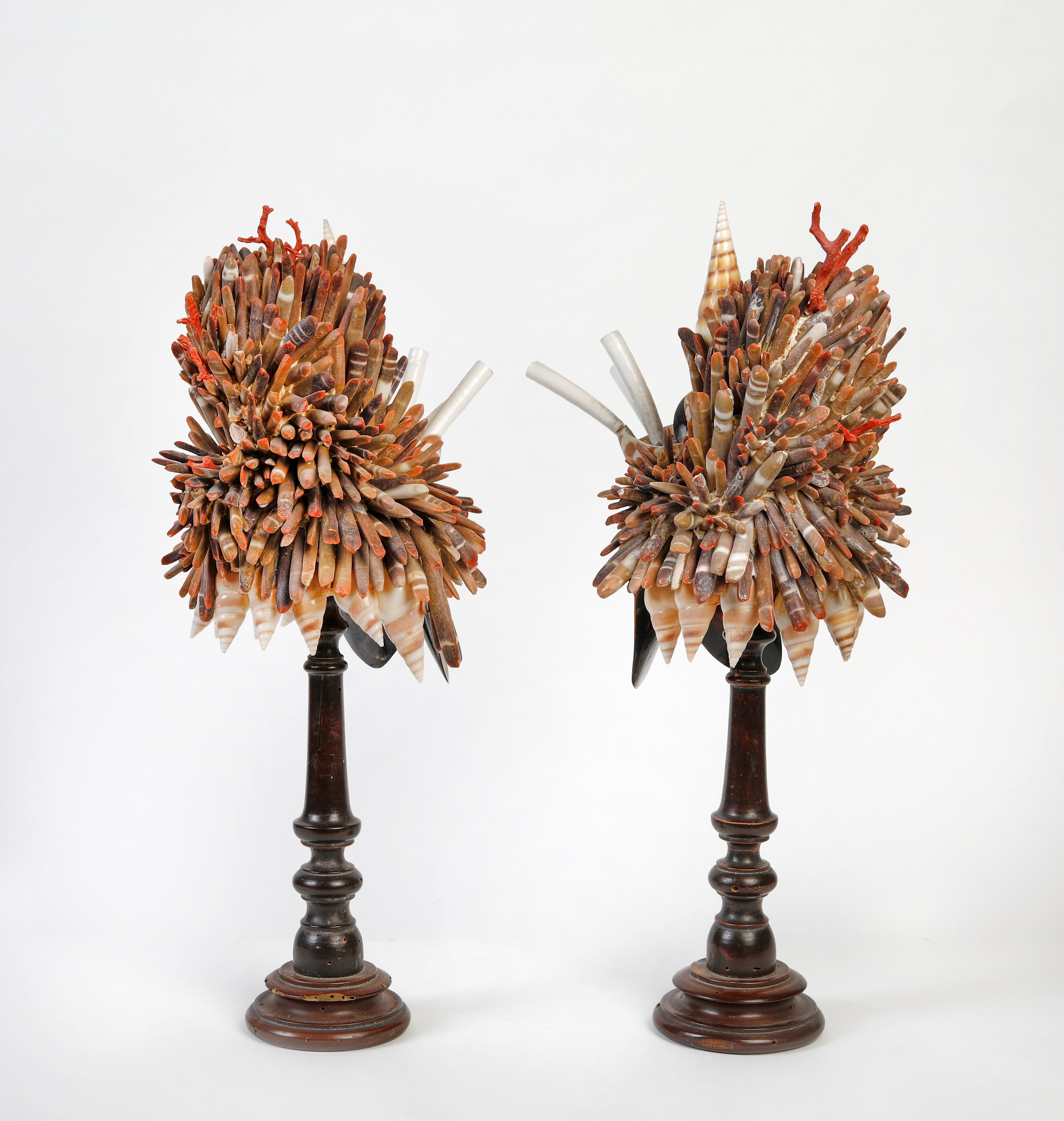 Lotto composto da due oggetti da Wunderkammer, realizzati con una composizione di conchiglie e co...