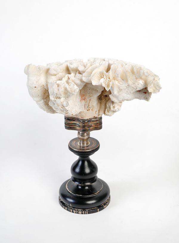 Giuliano Tincani - Oggetto da Wunderkammer realizzato con un corallo bianco sorretto da base in argento 925