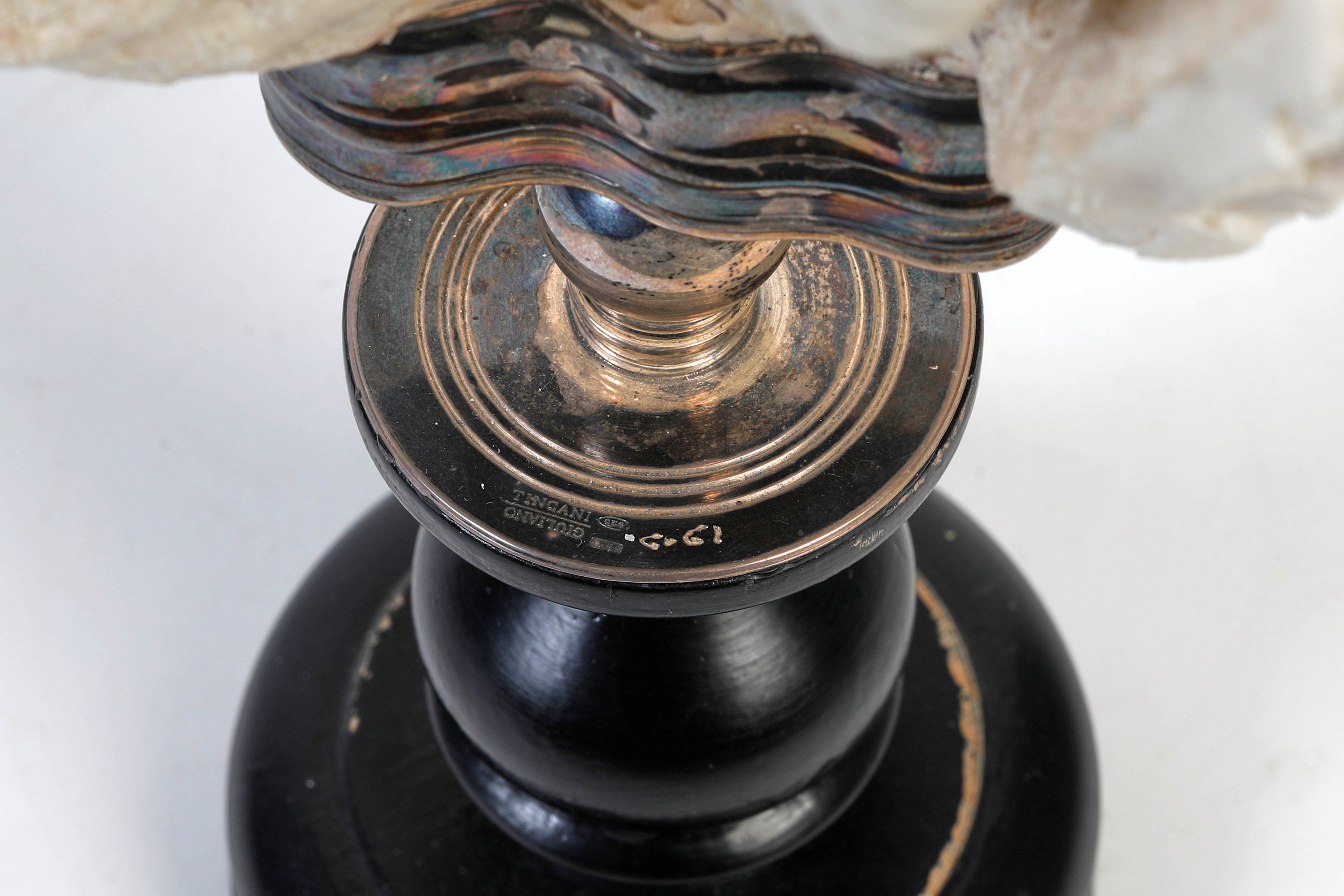 Oggetto da Wunderkammer realizzato con un corallo bianco sorretto da base in argento 925