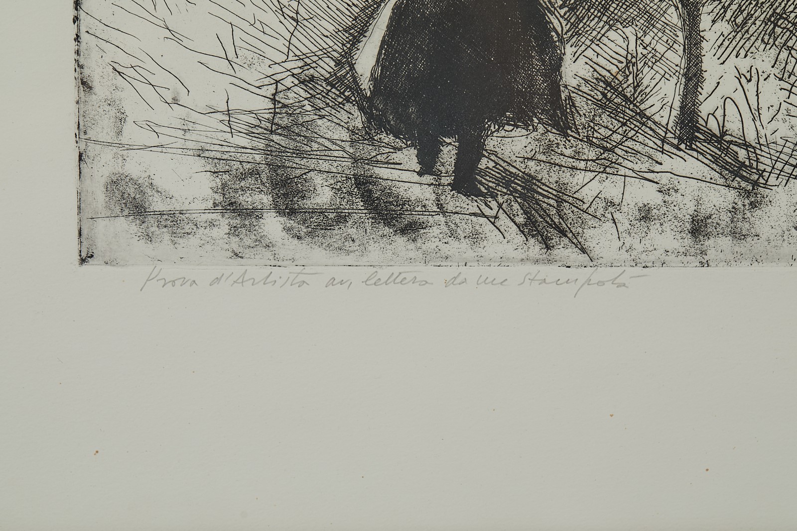 "I quattro cavalieri"