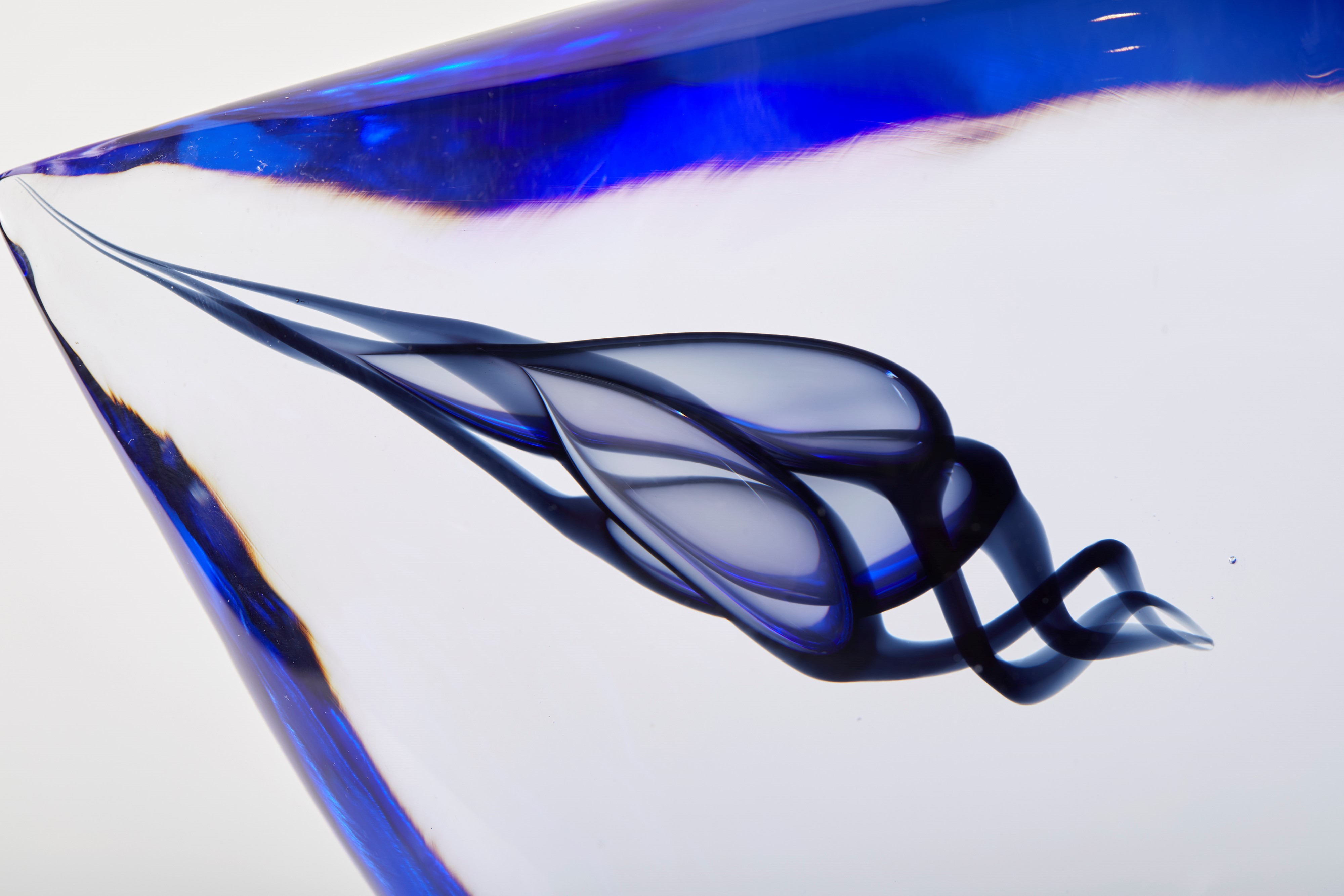 Cometa Pino Signoretto