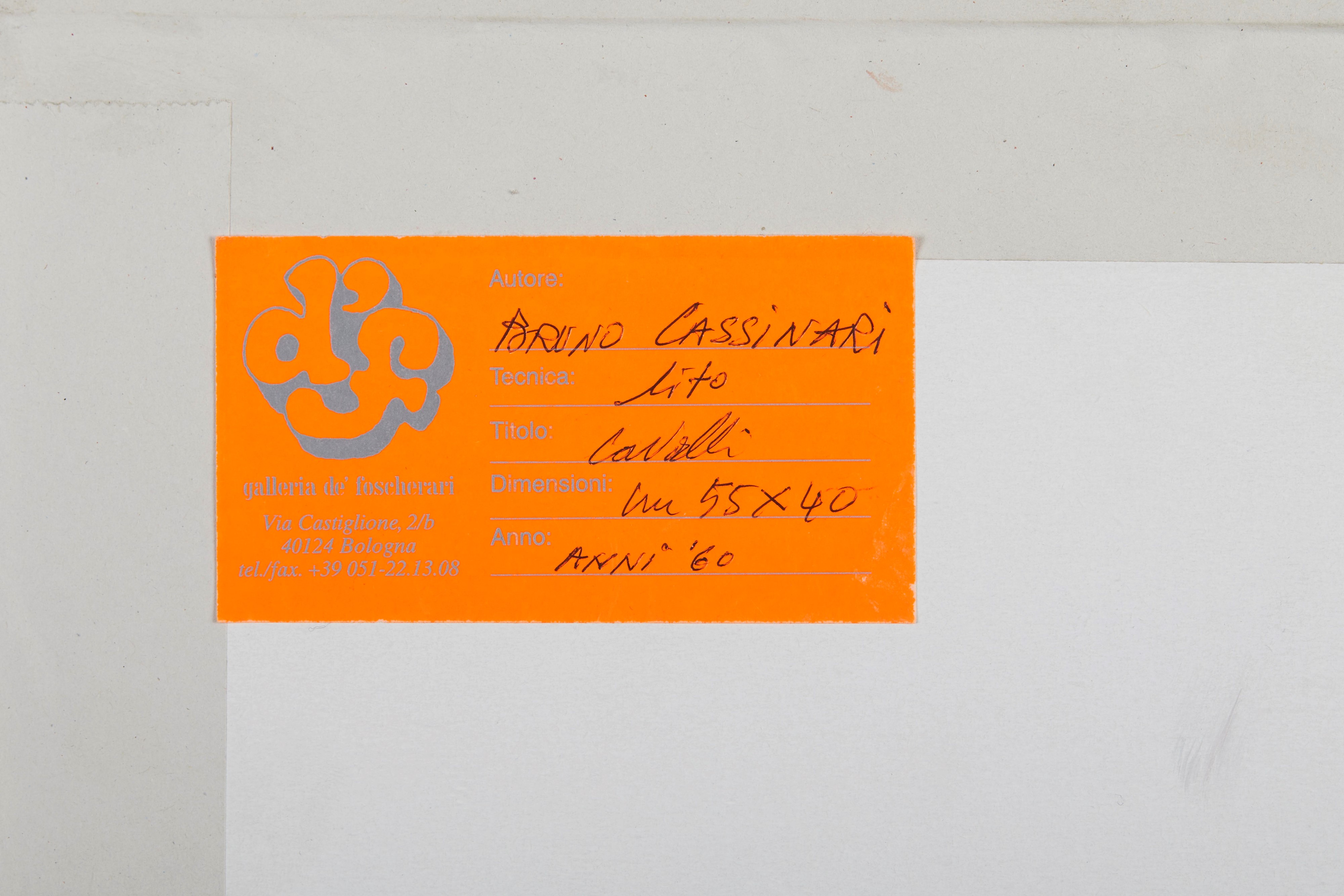 “Cavalli”